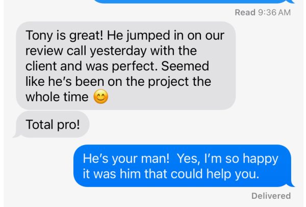 TEP Review text - Bad Cat